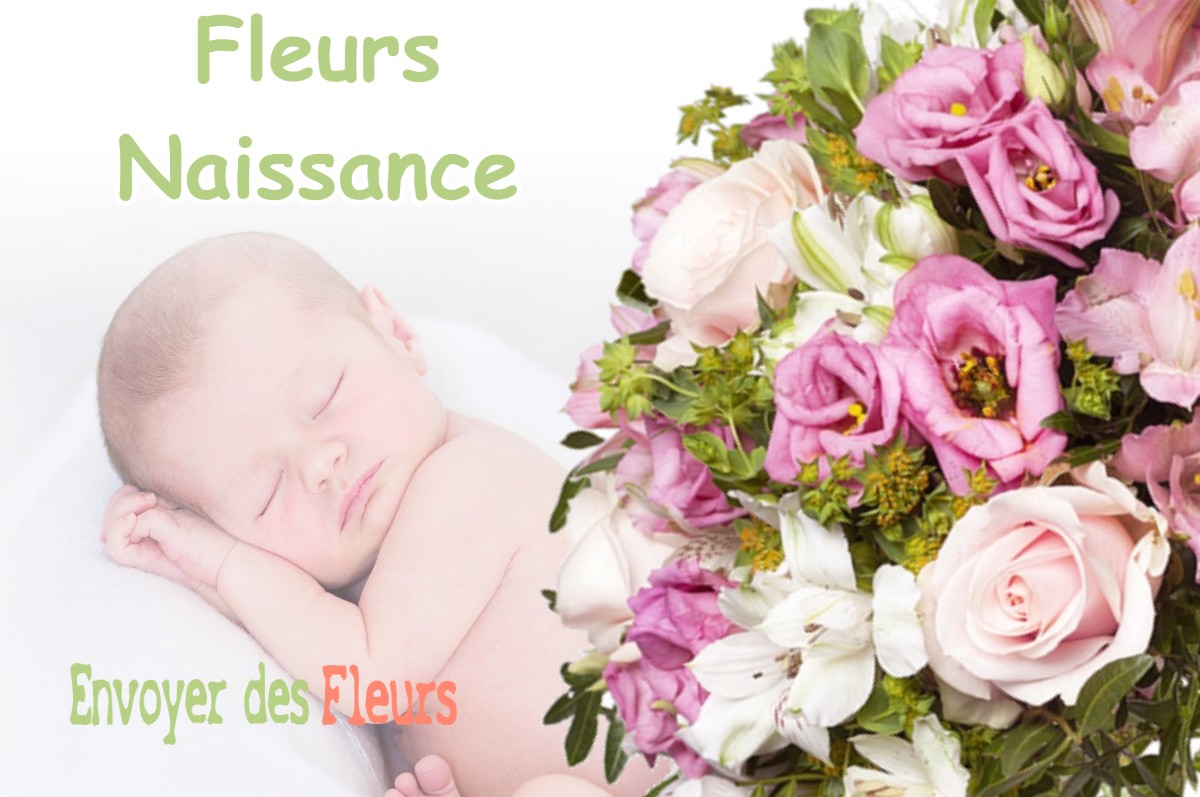 lIVRAISON FLEURS NAISSANCE à MONTMEYAN